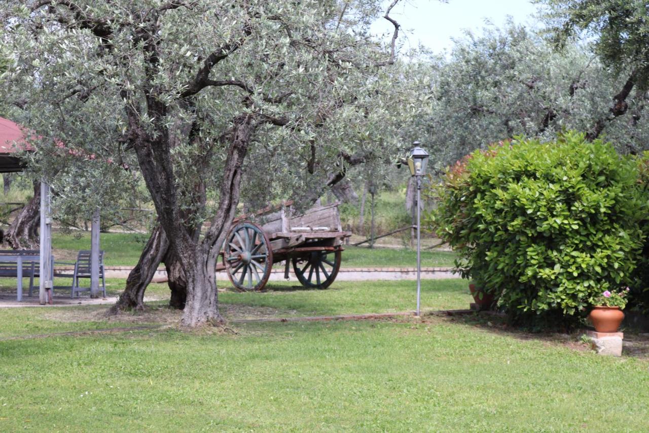 Agriturismo Il Bagolaro Villa Nerola Exteriör bild