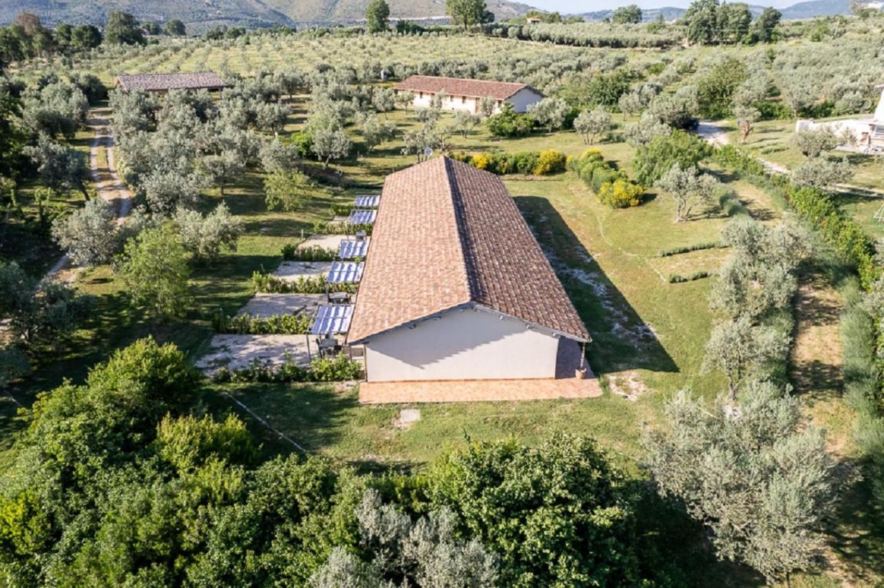 Agriturismo Il Bagolaro Villa Nerola Exteriör bild