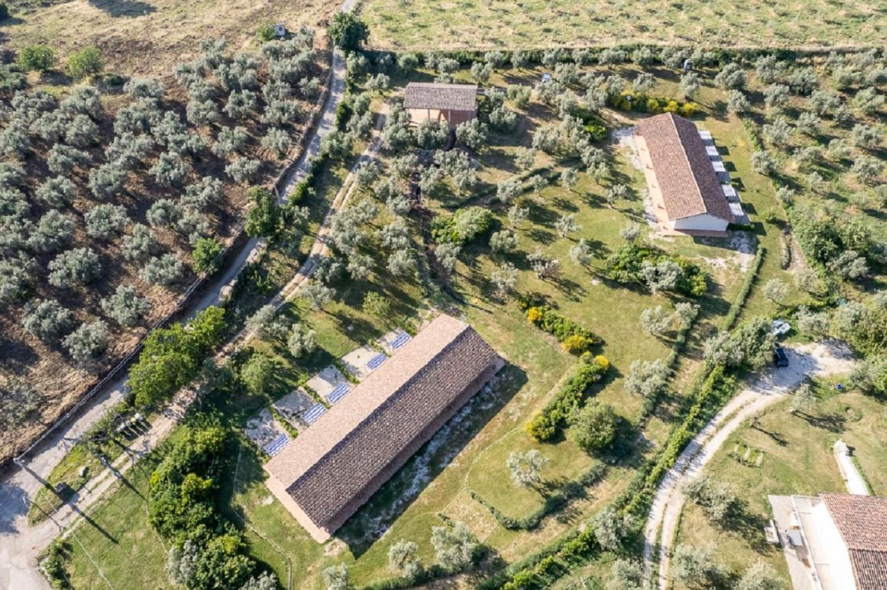 Agriturismo Il Bagolaro Villa Nerola Exteriör bild